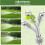 Rustproof Telescoping Water Sprayed Rod Flexible Length 12 To 2