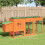 Berkfield Chicken Coop Brown 204x50x84 cm Solid Wood Pine 1