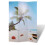 Berkfield Folding Room Divider 120x170 cm Beach 1