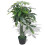 Berkfield Artificial Fortune Tree Plant with Pot 85 cm Green 1