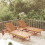Berkfield 2 Piece Sunlounger Set with Table Solid Wood Acacia 1