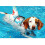 Hunde-Badeanzug-Weste Savers-Segelblau 7