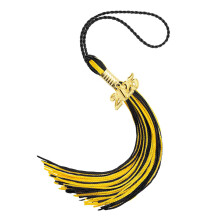 2025 Graduation Caps Tassels Elegant-Black and golden