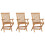 Berkfield Folding Garden Chairs 3 pcs Solid Teak Wood 1