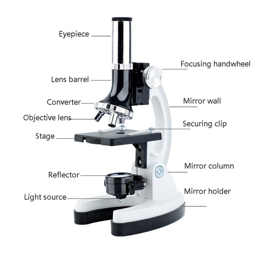 Compound Monocular Microscope 30–1200x Wide Magnification BeginnerFriendly for Students and Kids 2