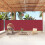 Berkfield Retractable Side Awning Red 180x1000 cm 1