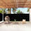 Berkfield Retractable Side Awning Black 180x1000 cm 1