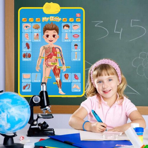 Interactive Alphabet Wall Chart with TouchSensitive Learning and Clear Adjustable Audio for Kids 1