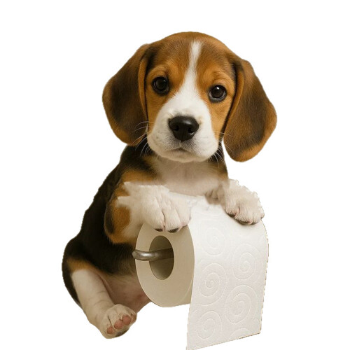 Unique Dog Shape Tissue Dispenser For Kitchen Bathroom Resin-1