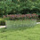 Berkfield Garden Raised Bed 320x40x77 cm Galvanized Steel Silver 1