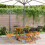 Berkfield Folding Garden Chairs 4 pcs Black Poly Rattan and Solid Wood 1