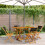 Berkfield Folding Garden Chairs 4 pcs Black Solid Wood Acacia 1