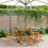Berkfield Folding Garden Chairs 4 pcs Green Fabric and Solid Wood 1
