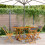 Berkfield Folding Garden Chairs 4 pcs Anthracite Fabric and Solid Wood 1