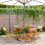 Berkfield Folding Garden Chairs 4 pcs Beige Fabric and Solid Wood 1