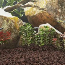 Berkfield Volcanic Rocks 10 kg Red 5-8 cm