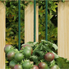 Berkfield Garden Plant Stakes 30 pcs Green 60 cm Steel