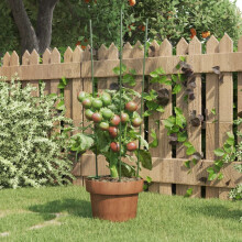 Berkfield Garden Plant Supports with 3 Rings 5 pcs Green 60 cm Steel