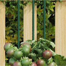 Berkfield Garden Plant Stakes 30 pcs Green 150 cm Steel