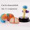 Human Brain Model 4D Anatomical Brain Model with Detachable 4Part Design for Classroom Teaching 3