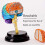 Human Brain Model 4D Anatomical Brain Model with Detachable 4Part Design for Classroom Teaching 5
