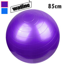 Exercise Ball 85cm Anti Burst Heavy Duty Stability Ball with Quick Inflate Pump for Home Gym