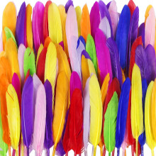 250PCS Natural Assorted Color Craft Feathers Handmade Decorative Feathers for DIY and Home Decor