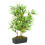 Berkfield Artificial Bamboo Tree 500 Leaves 80 cm Green 1