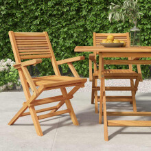 Berkfield Folding Garden Chairs 2 pcs 55x62x90 cm Solid Wood Teak
