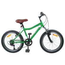 Berkfield Kids Bike 20'' 6-Speed for 6-11 Years Old Green