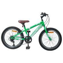 Berkfield Mountain Bike 20'' 6-Speed for 5-8 Years Old Green