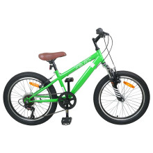 Berkfield Mountain Bike 24 Inches 6-Speed for 8-12 Years Old Green