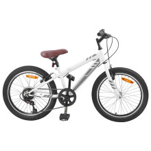 Berkfield Mountain Bike 24'' 6-Speed for 8-12 Years Old White