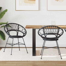 Berkfield Dining Chair 2 pcs Black 49 x 51 x 81 cm Rattan and Iron
