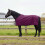 Berkfield Horse Blanket Full Purple 155 cm Polyester 1