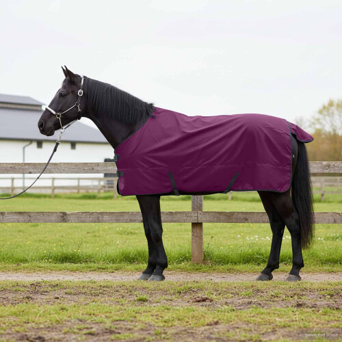 Berkfield Horse Blanket Full Purple 155 cm Polyester