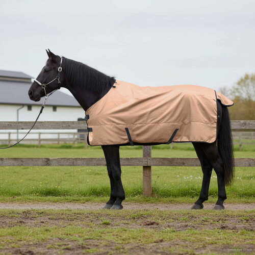 Berkfield Horse Blanket Cappuccino 115 cm Polyester