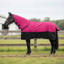 Berkfield Horse Blanket Pink and Black 85 cm Polyester