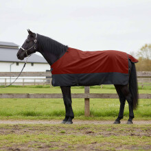 Berkfield Horse Blanket Bordeaux and Black 85 cm Polyester
