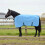 Berkfield Horse Blanket Full Aqua 105 cm Polyester 1