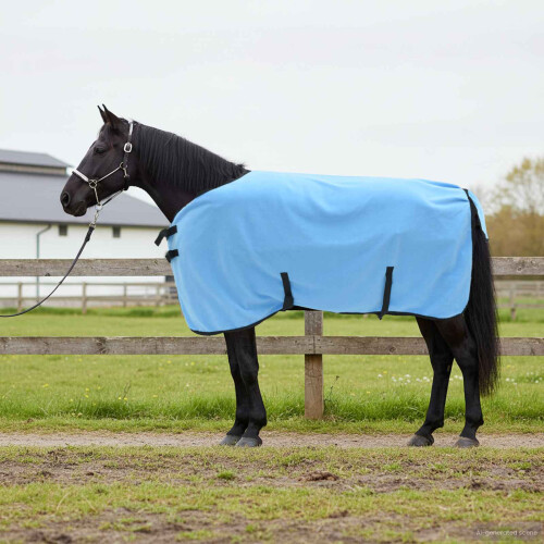Berkfield Horse Blanket Full Aqua 105 cm Polyester