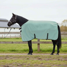 Berkfield Horse Blanket Special Green 105 cm Polyester