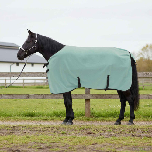 Berkfield Horse Blanket Special Green 105 cm Polyester