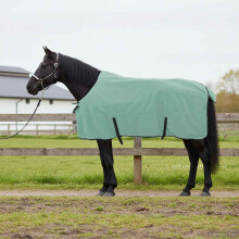 Berkfield Horse Blanket Special Green 155 cm Polyester