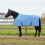 Berkfield Horse Blanket Full Aqua 125 cm Polyester 1