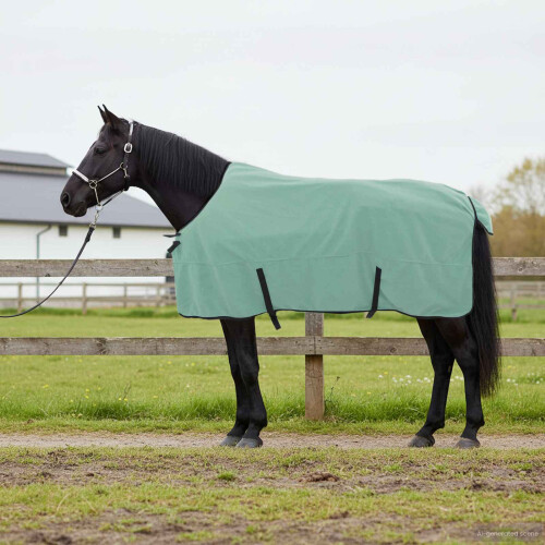 Berkfield Horse Blanket Special Green 165 cm Polyester