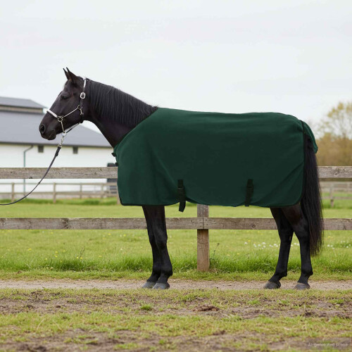 Berkfield Horse Blanket Full Dark Green 105 cm Polyester