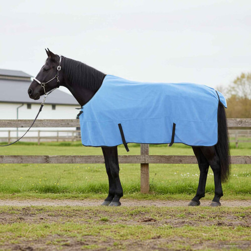 Berkfield Horse Blanket Full Aqua 145 cm Polyester