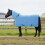 Berkfield Horse Blanket Full Aqua 145 cm Polyester 1