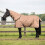Berkfield Horse Blanket Cappuccino 75 cm Polyester 1